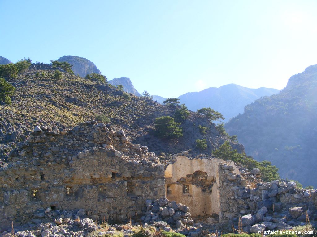 Photo report of two mountain walks in Sfakia, Crete, June 2008